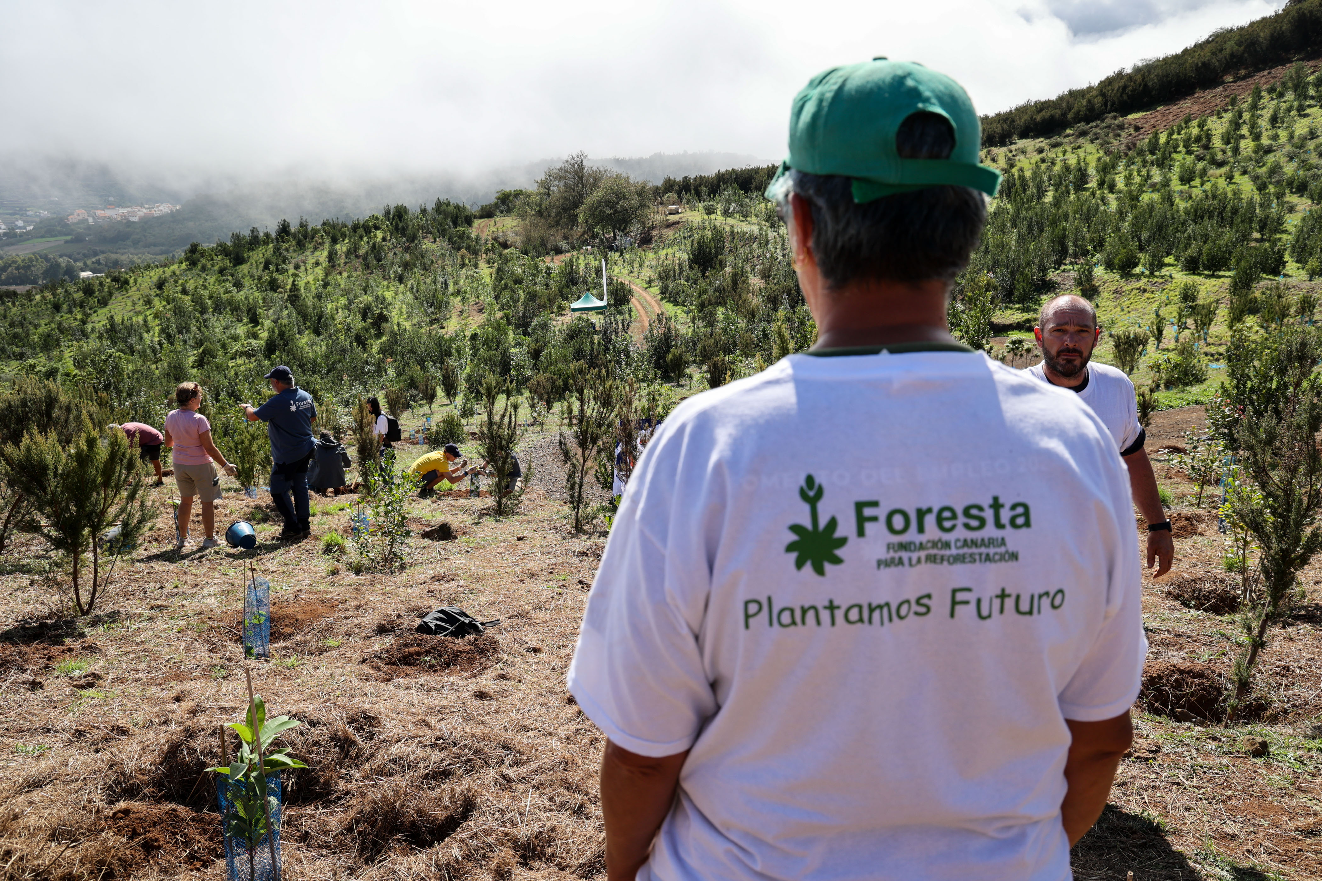 Image of ARC participants planting trees with Fundación Foresta in Las Palmas